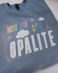 Opalite embroidered applique lyric sweatshirt
