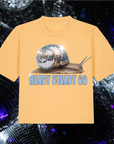 Ready steady go- Nova boxy cropped